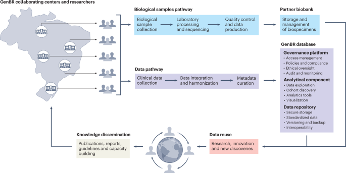 Genomas Brasil program: building precision public health within Brazil’s Unified Health System