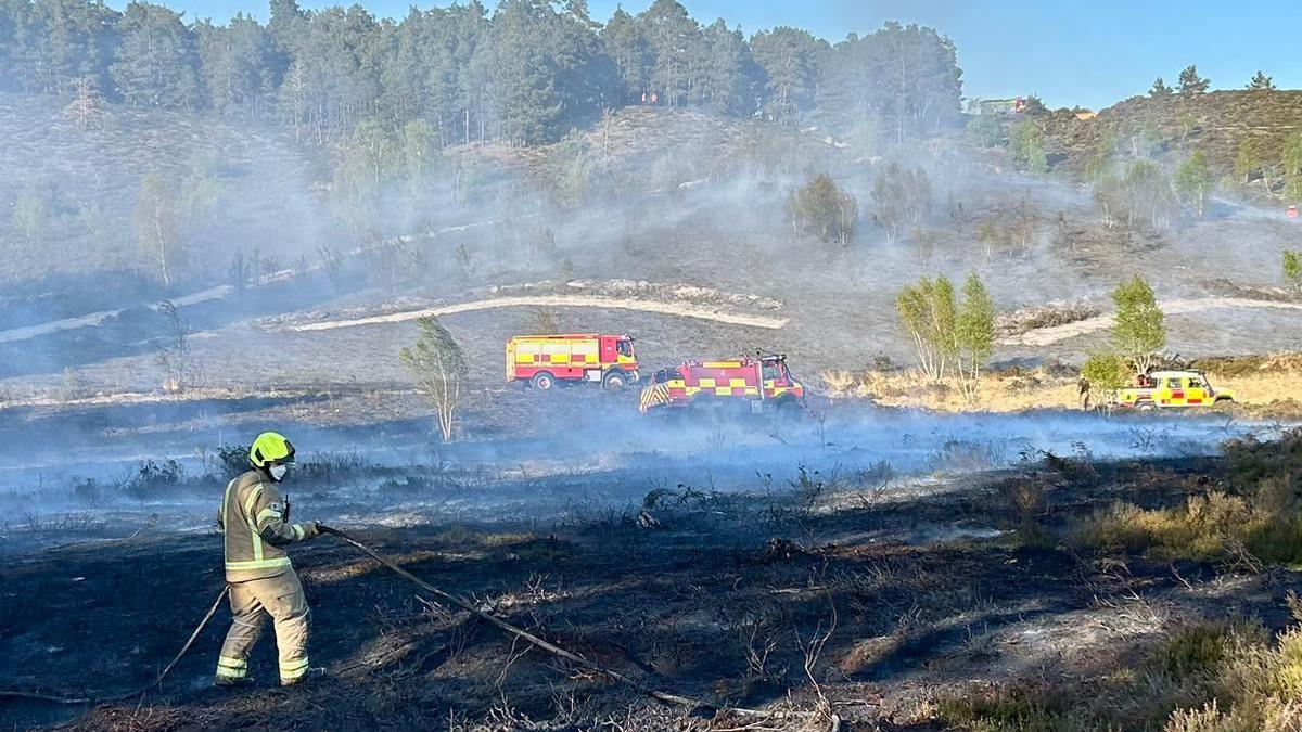 Renewed pleas to prevent heathland wildfires