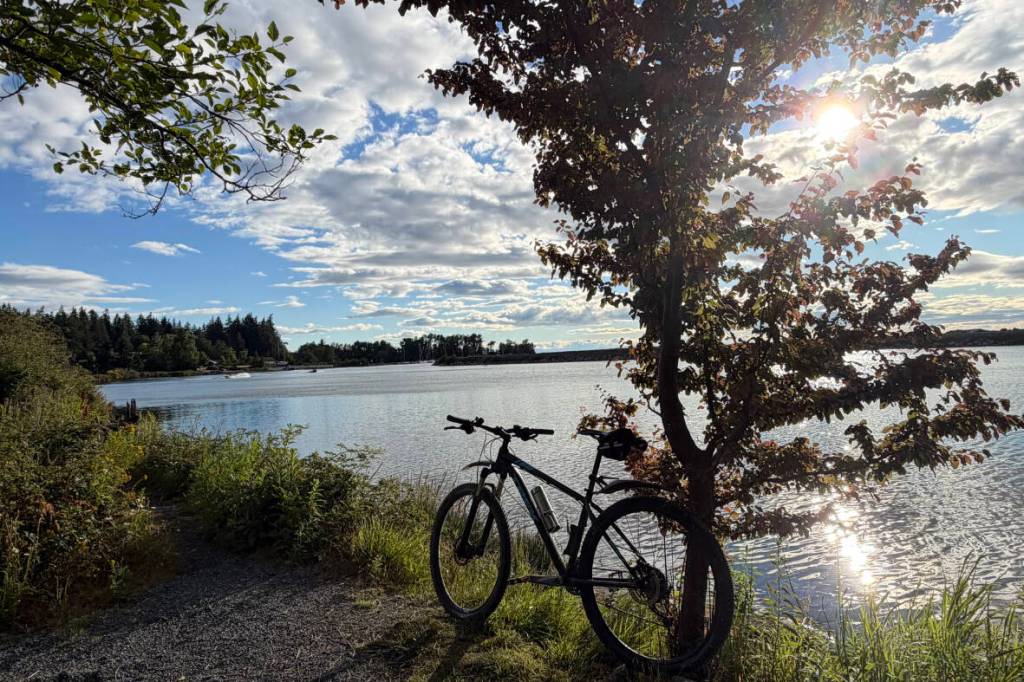 The evening sun over the Nicomekl River adds to a stunning view of the Nicomekl River in June 2026. (Craig Binion/Contributed to Peace Arch News)