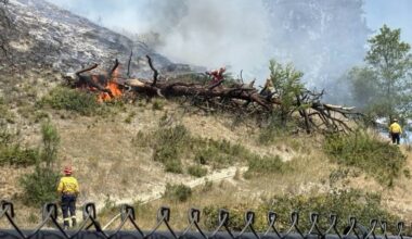 Grass fire quickly spreads uphill at Clement Ave. and Spall Road, July 3. (Brayden Ursel/ Capital News)
