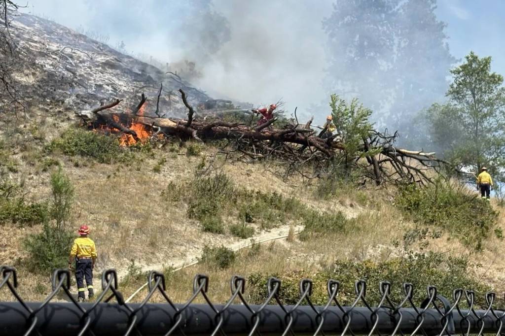 Grass fire quickly spreads uphill at Clement Ave. and Spall Road, July 3. (Brayden Ursel/ Capital News)