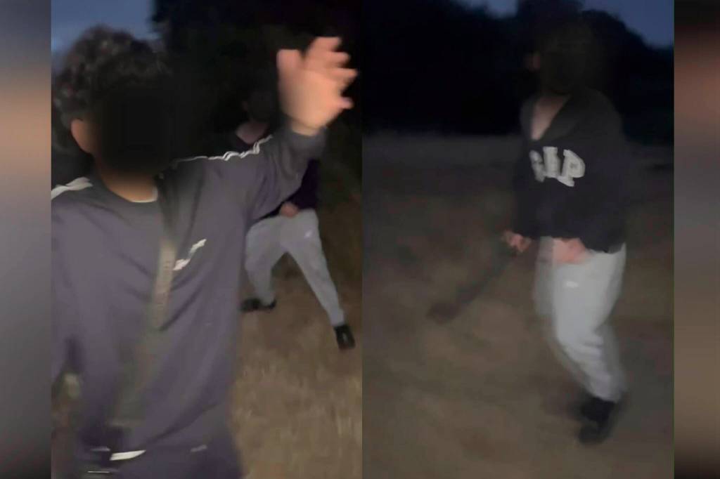 VicPD officers are investigating the incident that happened near Beacon Hill Park on the night of July 3. (Photo courtesy of Abigail Urquhart)
