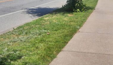 Surrey council approved a $1,689,448.95 contract for new and improved sidewalks at five locations in North Surrey. (Tom Zytaruk/Surrey Now-Leader)