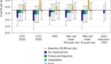 Sustainable diet shifts among adults in Scotland do not cost more