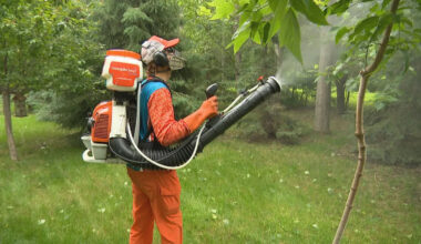 Recent rainfall fuels surge in mosquito numbers in Winnipeg