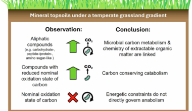 Microbial carbon metabolism is linked to organic matter chemistry across soil systems