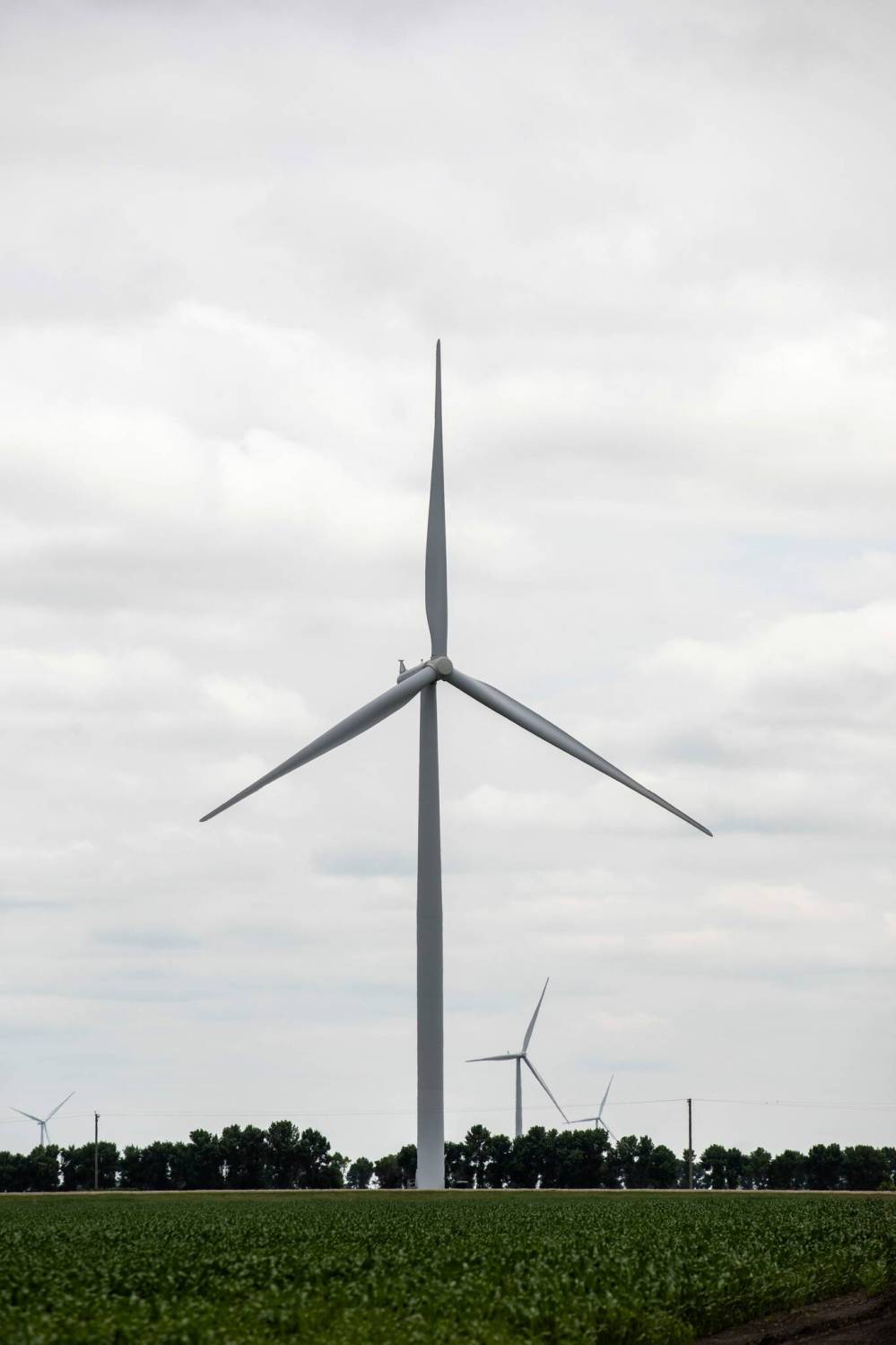 MIKAELA MACKENZIE / FREE PRESS
Wind turbines south of Winnipeg, some active since 2006, are about 120 metres in height. Turbines proposed as part of the Fleury Winds project would tower as high as 210 metres, including their blades.