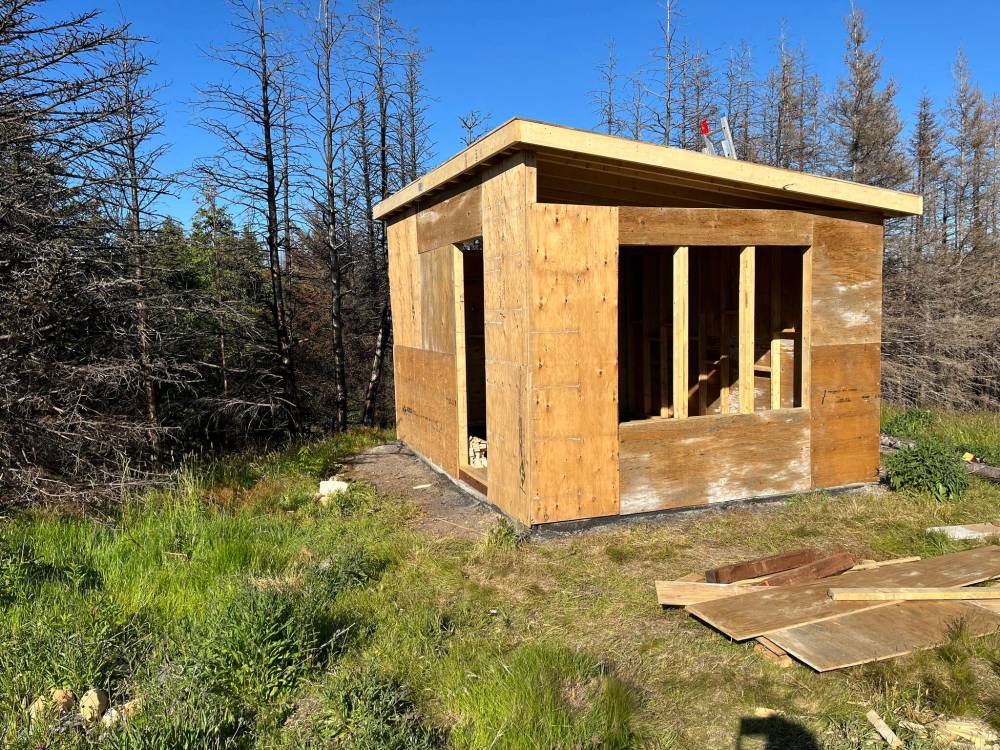 Russell Wangersky / Free Press
The new shed, in mid-construction.