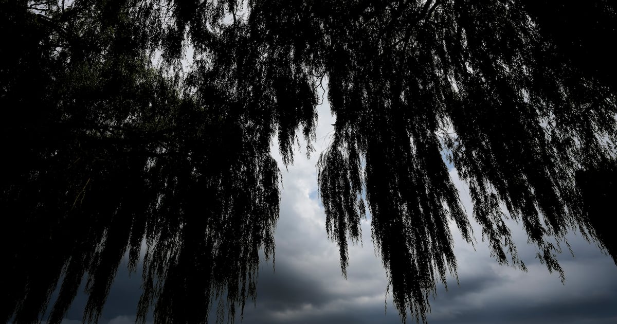 Toronto weather: Thunderstorms, gusty winds