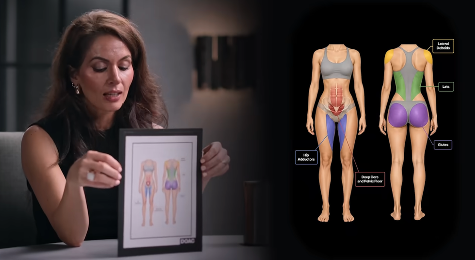 5 muscle groups hourglass figure 5 muscle groups hourglass figure