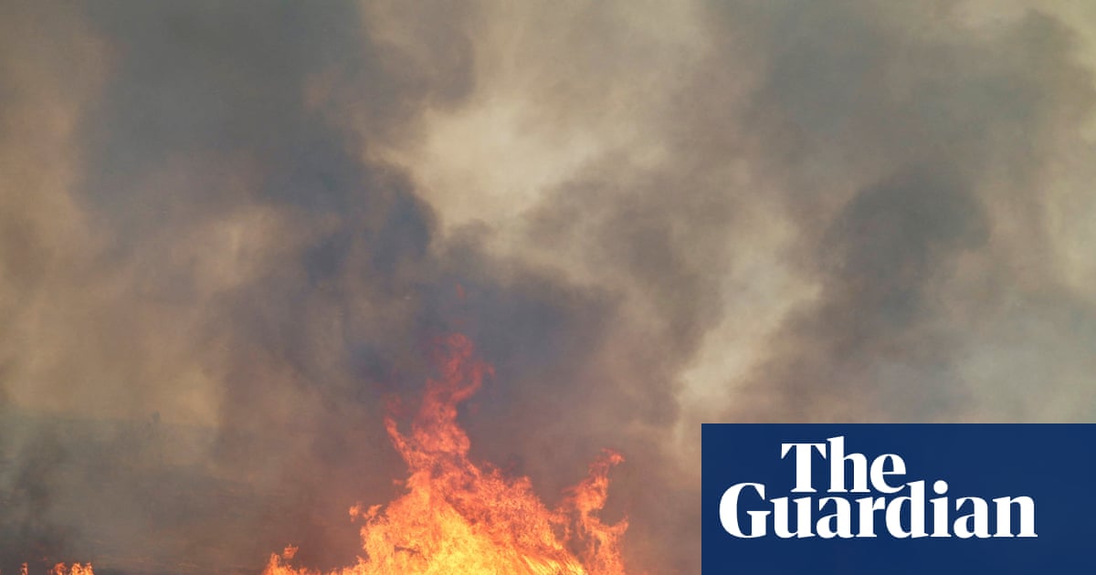 ‘The worst possible combination’: what has caused Spain’s deadly wildfires? | Spain