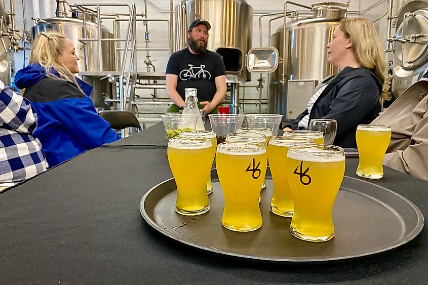 46 North brewery tour  Graham Orser Image credit Bryan Dearsley