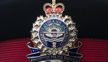 Pedestrian in critical condition after hit-and-run