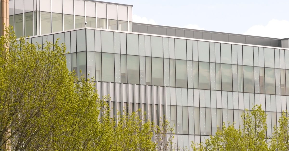 MRU says employee, student data compromised in cyberattack - CTV News