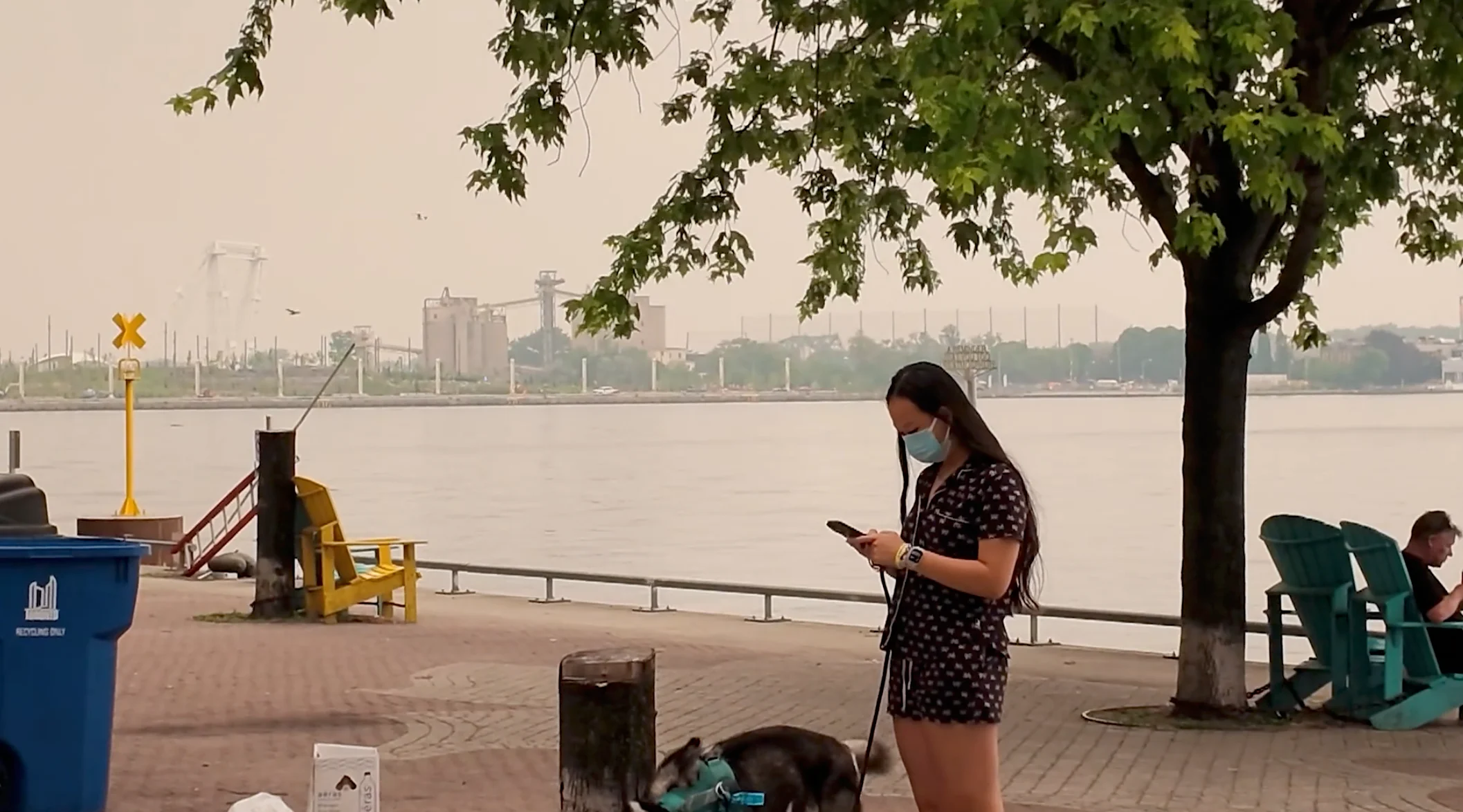 TWN: Toronto smoke, girl with dog with smoke mask to protect from wildfire smoke. July 15, 2026.
