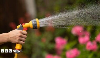 South East Water announces new hosepipe ban for Sussex, Surrey, Hampshire and Berkshire
