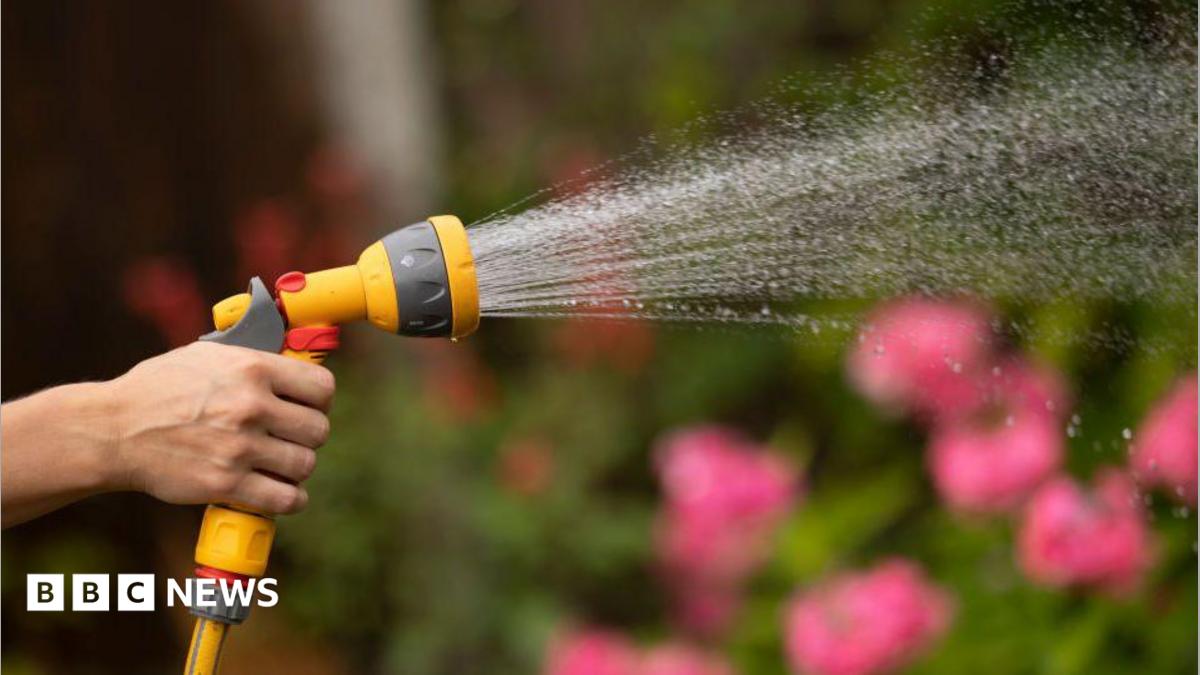 South East Water announces new hosepipe ban for Sussex, Surrey, Hampshire and Berkshire