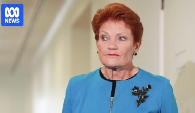 What would Australia's economy look like under One Nation?