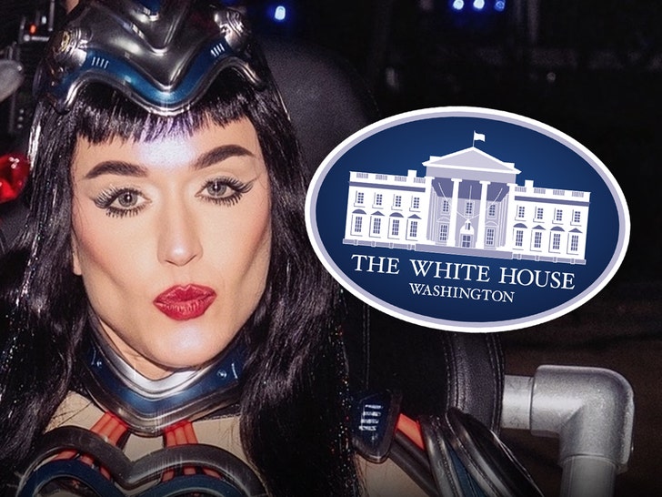 main-katy-perry-Cynthia-Parkhurst-1