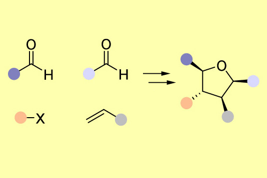 Unexpected cyclisation provides easy access to elusive tetra-substituted THFs | Research