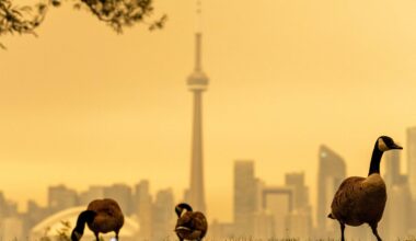 Canadian wildfire smoke chokes Toronto and threatens U.S. cities