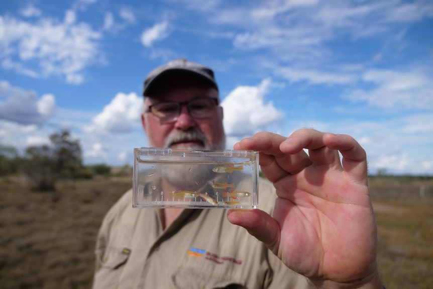 man holding up clear container with small fish in it