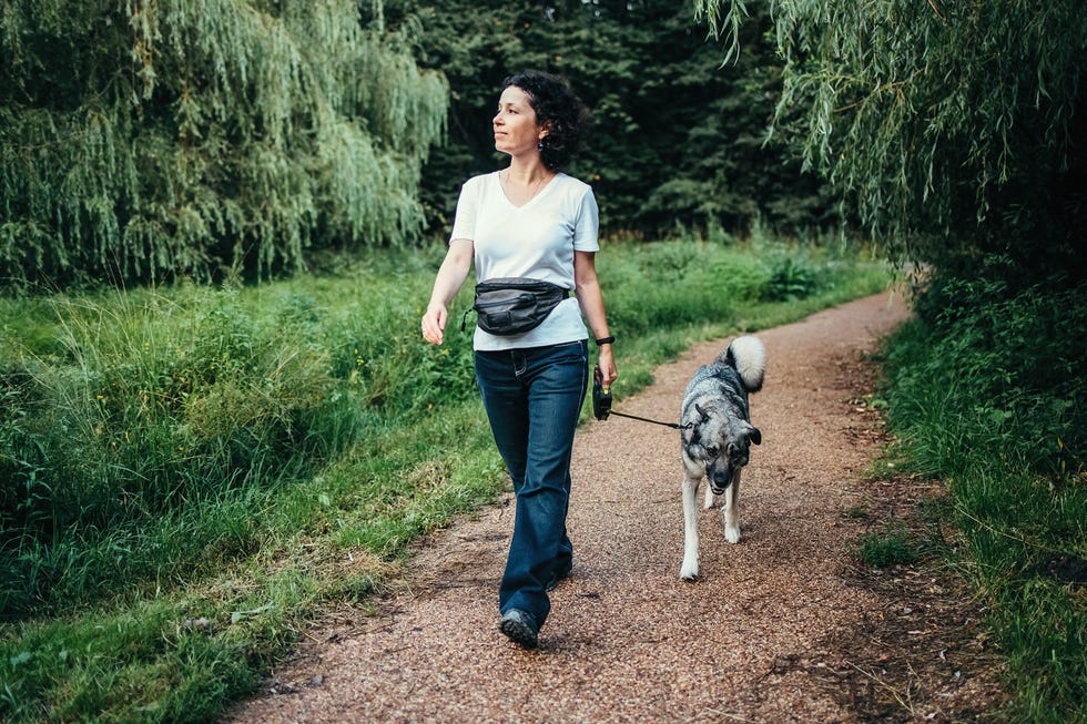interval walking benefits: woman walks her dog in nature