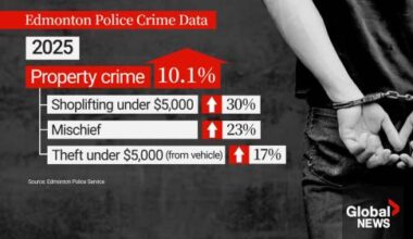 Edmonton’s overall crime rate up in 2025, but decrease in violent offences