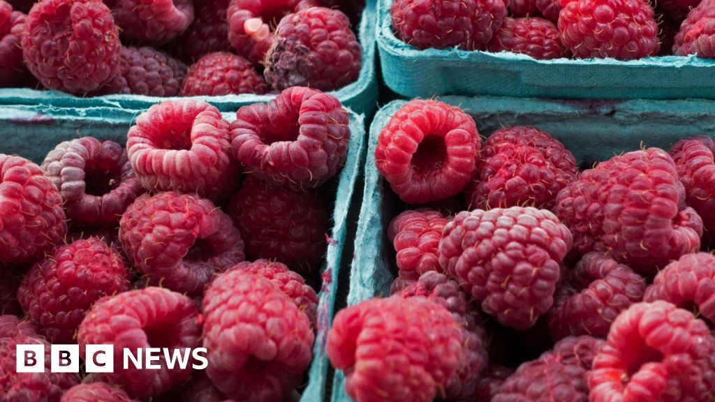 'Explosive diarrhoea' outbreak remains a mystery as officials struggle to find sources - BBC