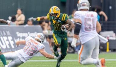 Elks ride Blanchard's leg, defence to 19-17 win as Lions lose Rourke to injury
