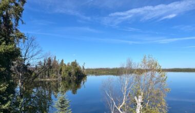 Two people found dead in suspected wildlife incident near McTavish Lake