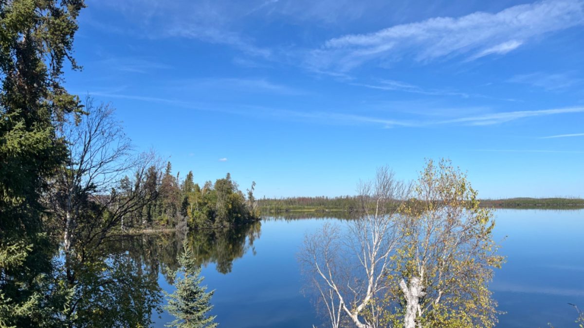 Two people found dead in suspected wildlife incident near McTavish Lake
