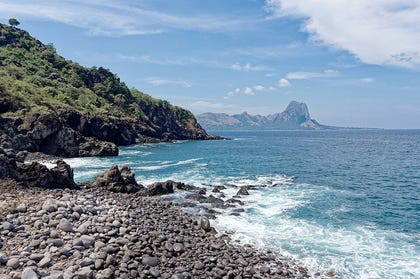 The island of Flores in Indonesia. Credit: Jakub Halun The island of Flores in Indonesia.