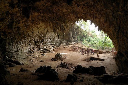 The limestone cave on Flores where the remains of Homo floresiensis were first discovered in 2003. Credit: Rosino The limestone cave on Flores where the remains of Homo floresiensis were first discovered in 2003.