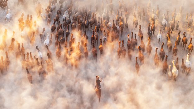 Photograph of the year 2026: Third place: Kah-Wai Lin, United States. Thunder of Hooves - At sunset in Cappadocia, Yilki horses surge across the dusty plateau. 