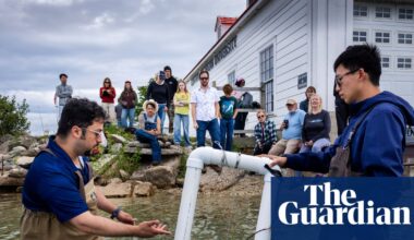 Experimental bathtub: the remote lake island trying wave power to boost energy security | Hydropower