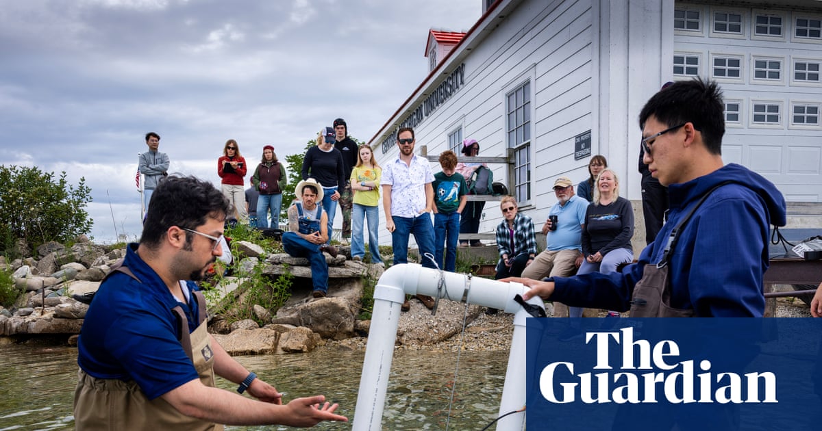 Experimental bathtub: the remote lake island trying wave power to boost energy security | Hydropower
