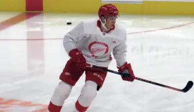 Mathieu Bizier at the Detroit Red Wings