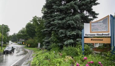 Why is a Quebec town giving rights to trees?