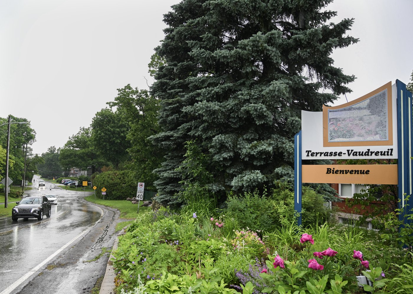 Why is a Quebec town giving rights to trees?