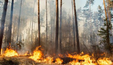 Wildfire smoke returns Friday | Quinte News