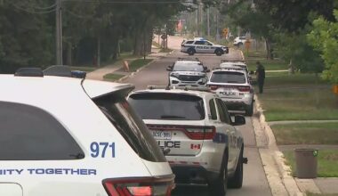 Male fighting for life after Mississauga stabbing