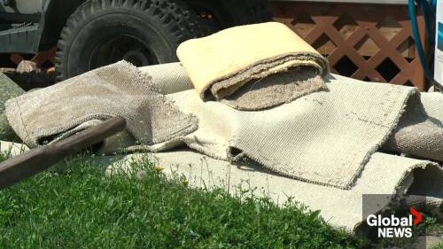 Estimated $230 million in insured damage claimed from Edmonton storms