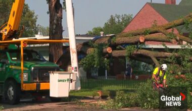 Edmonton summer storms cleanup cost estimated between $20-$30 million