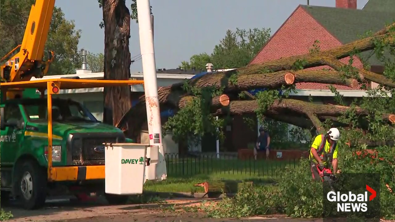 Edmonton summer storms cleanup cost estimated between $20-$30 million