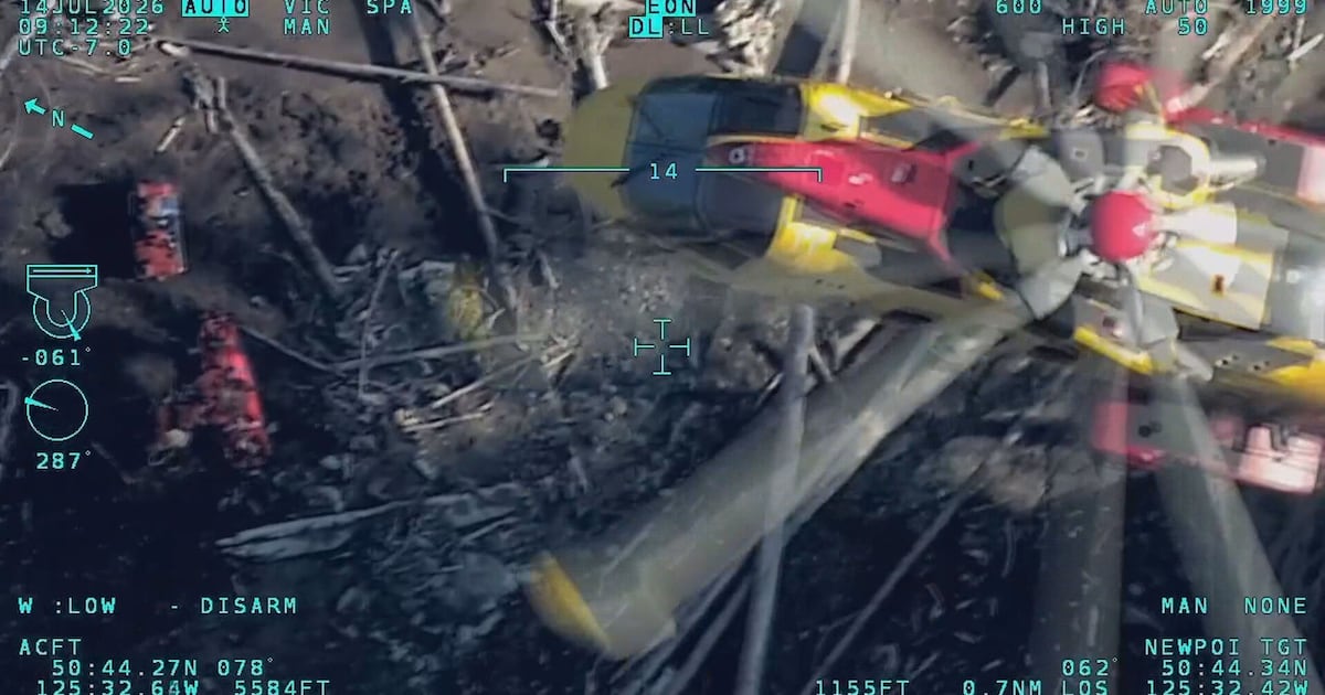 Video shows rescue of lone survivor from deadly B.C. helicopter crash - CTV News
