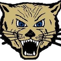 Boys soccer: L-Cats' Lutes to play in Senior All-Star Game | Sports
