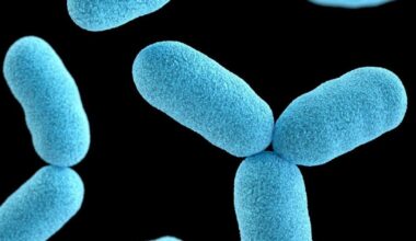 How this deadly superbug spread and rose to global dominance | Health