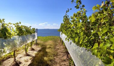 Great Ontario weekend and daytrips from Toronto on a budget