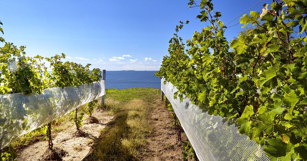 Great Ontario weekend and daytrips from Toronto on a budget